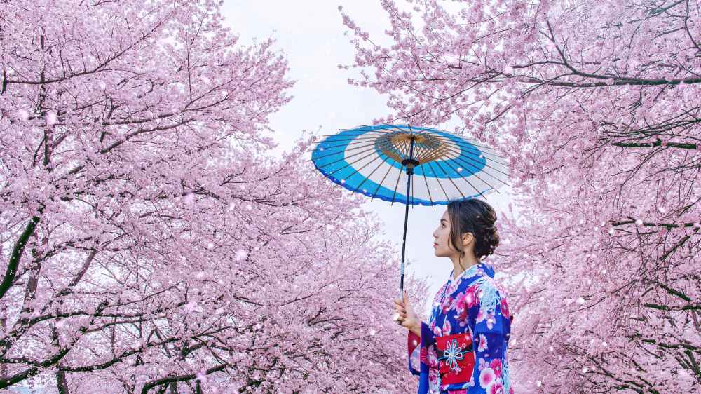 budaya jepang yang terkenal